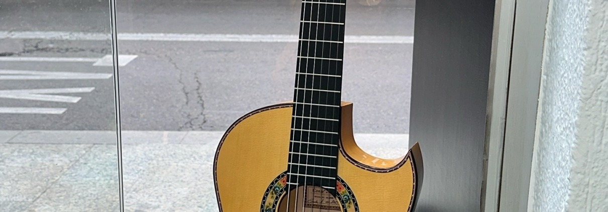 Guitarra Amistad Edición Limitada