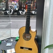 Guitarra Amistad Edición Limitada