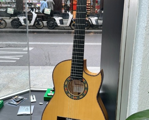 Guitarra Amistad Edición Limitada