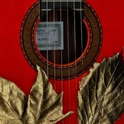 Guitarras Conde y la sostenibilidad