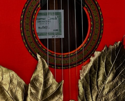 Guitarras Conde y la sostenibilidad