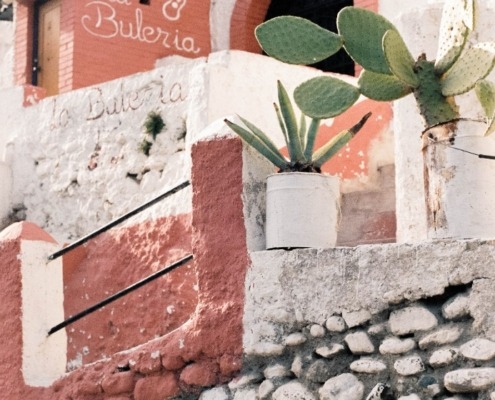 guitarra flamenca en diferentes palos del flamenco