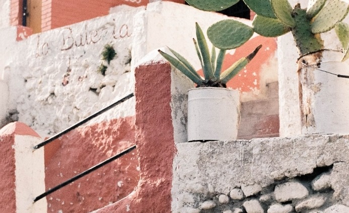 guitarra flamenca en diferentes palos del flamenco