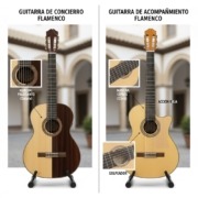 guitarra de concierto y de acompañamiento